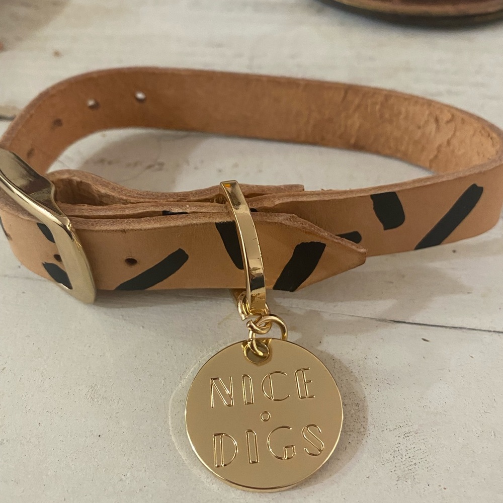 Nice Digs Dog Collar